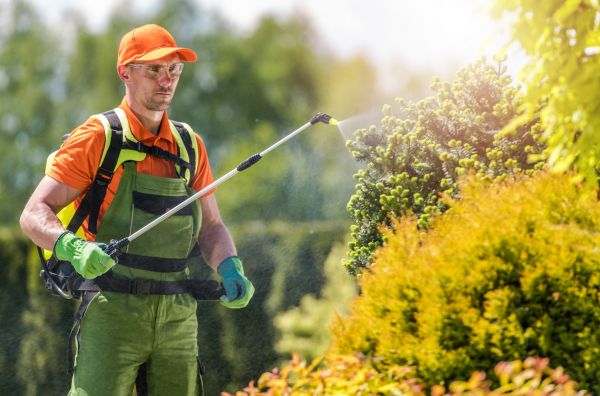 Outdoor Pest Control